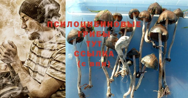 тгк Алексеевка