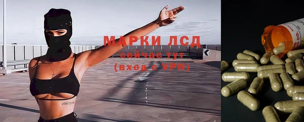 гидропоника Алзамай