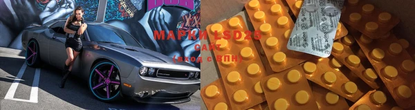 гидропоника Алзамай