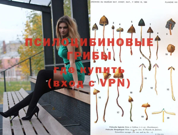 тгк Алексеевка