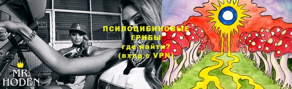 гидропоника Алзамай