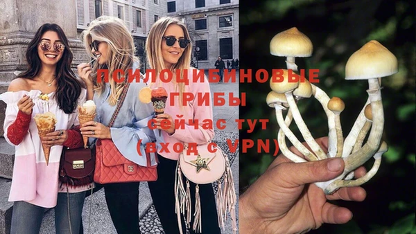 тгк Алексеевка