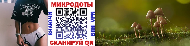 закладки  Асино  Псилоцибиновые грибы Psilocybine cubensis 